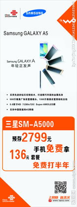 创意与规范并重 广告设计与礼仪服务的融合之道